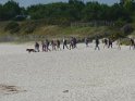 2011-09-25 15-06-48 Plage de Kermor-Ste Marine MBo